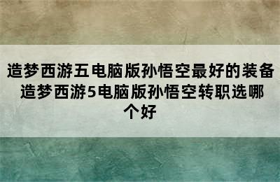 造梦西游五电脑版孙悟空最好的装备 造梦西游5电脑版孙悟空转职选哪个好